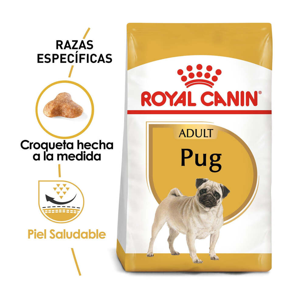 Foto 3 pulgar | Alimento en Croqueta para Pug Adulto Royal Canin 1.1 kg