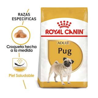 Foto 2 | Alimento en Croqueta para Pug Adulto Royal Canin 1.1 kg
