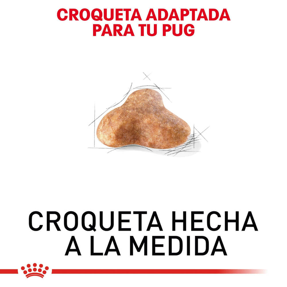 Foto 5 pulgar | Alimento en Croqueta para Pug Adulto Royal Canin 1.1 kg