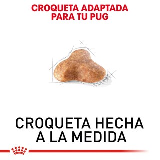 Foto 4 | Alimento en Croqueta para Pug Adulto Royal Canin 1.1 kg