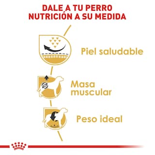 Foto 5 | Alimento en Croqueta para Pug Adulto Royal Canin 1.1 kg