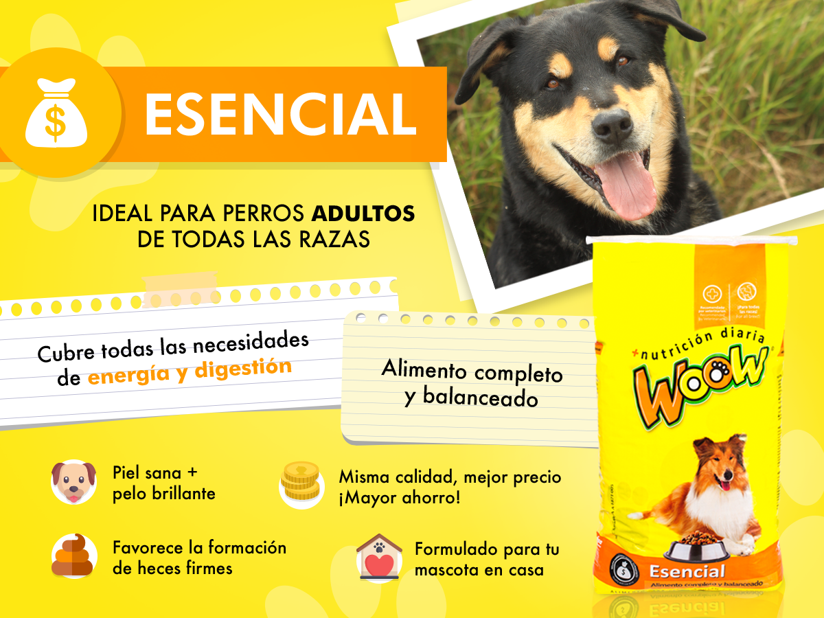 Foto 4 pulgar | Croquetas Para Perro Woow Esencial De 20 Kilogramos