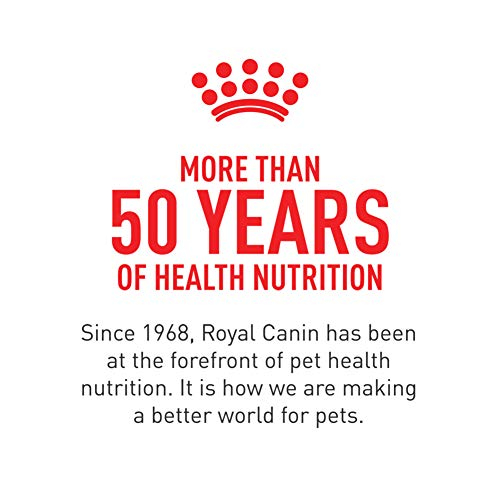 Foto 8 pulgar | Alimento Para Perros Royal Canin Shih Tzu, Específico Para Razas Adultas, 1,13 Kg - Venta Internacional.