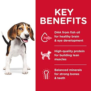 Foto 5 | Comida Para Perros Hill's Science Diet, Pollo Para Cachorros, 7 Kg - Venta Internacional.