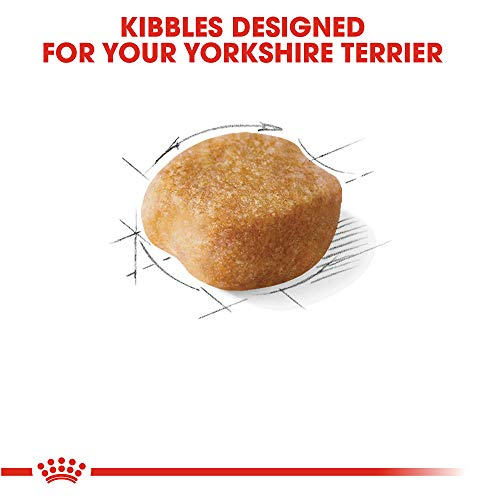 Foto 3 pulgar | Alimento Para Perros Royal Canin Yorkshire Terrier Adulto 1,13 Kg - Venta Internacional.