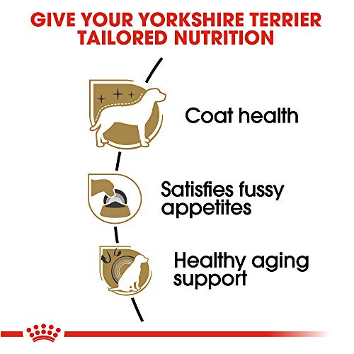 Foto 4 pulgar | Alimento Para Perros Royal Canin Yorkshire Terrier Adulto 1,13 Kg - Venta Internacional.