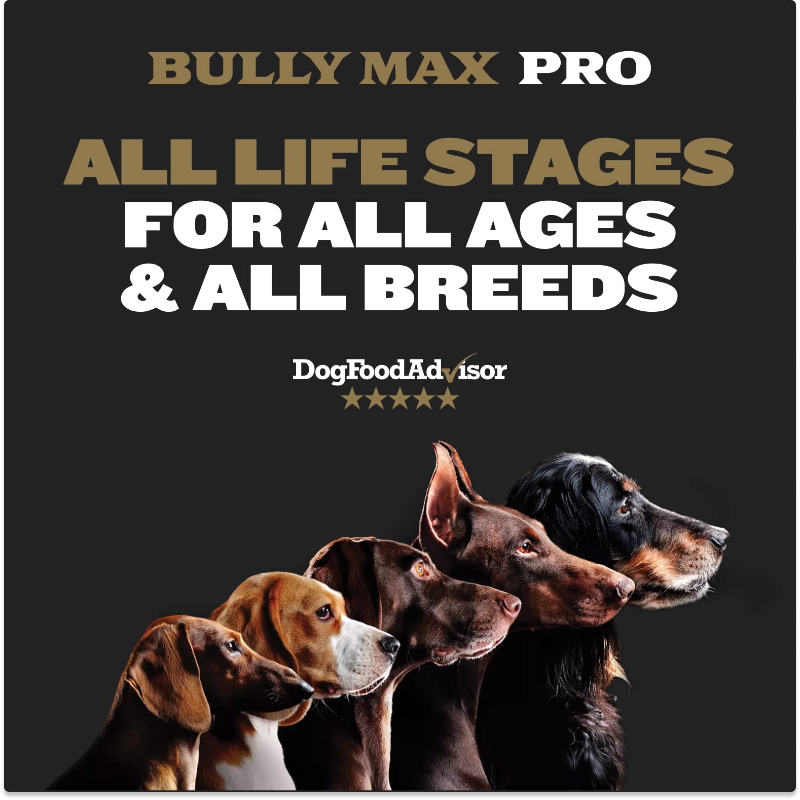 Foto 7 pulgar | Alimento Para Perros Bully Max 2x Calorie Dry Pro Series 600 Kcal/taza - Venta Internacional.