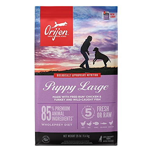 Foto 2 pulgar | Alimento Para Perros Orijen Puppy Recipe Rico En Proteínas 11,34 Kg - Venta Internacional.