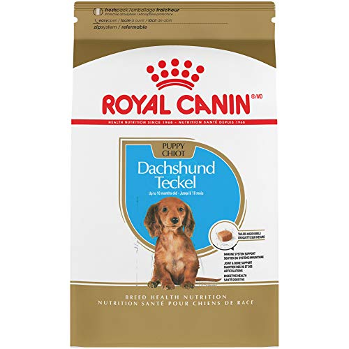 Foto 2 pulgar | Comida Para Perros Royal Canin Breed Health Nutrition Dachshund Puppy - Venta Internacional.