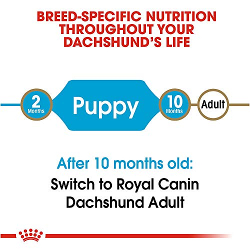 Foto 5 pulgar | Comida Para Perros Royal Canin Breed Health Nutrition Dachshund Puppy - Venta Internacional.