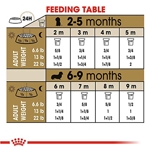 Foto 6 pulgar | Comida Para Perros Royal Canin Breed Health Nutrition Dachshund Puppy - Venta Internacional.