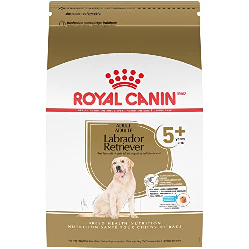 Foto 2 pulgar | Alimento Para Perros Royal Canin Labrador Retriever Para Adultos De 5 O Más De 3 Kg - Venta Internacional.