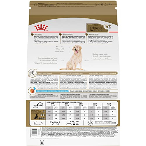 Foto 3 pulgar | Alimento Para Perros Royal Canin Labrador Retriever Para Adultos De 5 O Más De 3 Kg - Venta Internacional.