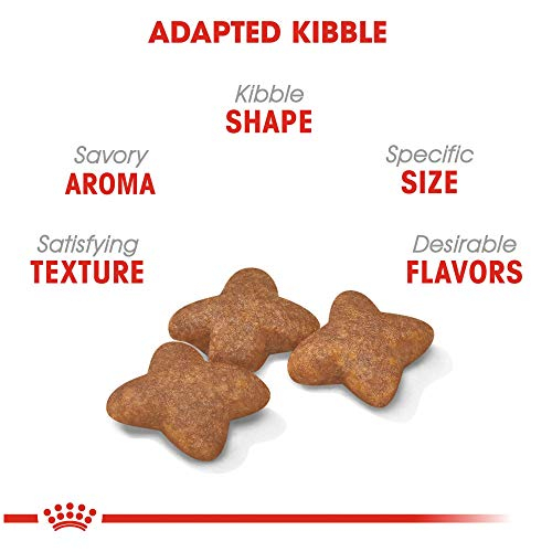 Foto 3 pulgar | Alimento Seco Para Perros Adultos De Raza Pequeña Royal Cani - Venta Internacional.