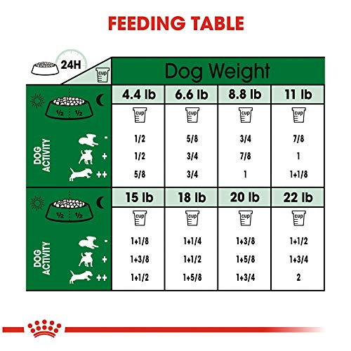 Foto 6 pulgar | Alimento Seco Para Perros Adultos De Raza Pequeña Royal Cani - Venta Internacional.