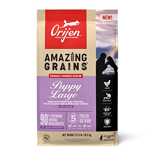 Foto 2 pulgar | Alimento Para Perros Orijen Amazing Grains Para Cachorros De Raza Grande 10,2 Kg - Venta Internacional.