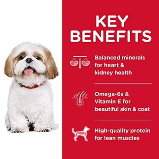 Foto 4 | Alimento Seco Para Perros Hill's Science Diet Para Adultos Mayores De 7 Años, Pequeños Bocados, 6,8 - Venta Intern