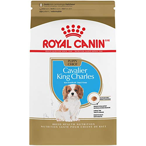 Alimento Para Perros Royal Canin Breed Health Nutrition Cavalier Puppy 1 - Venta Internacional.