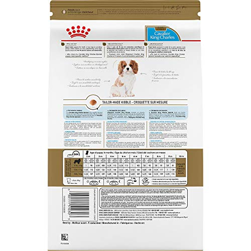 Foto 4 pulgar | Alimento Para Perros Royal Canin Breed Health Nutrition Cavalier Puppy 1 - Venta Internacional.