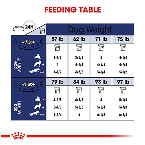 Foto 6 pulgar | Alimento Para Perros Royal Canin Large Aging 8+ Senior 13,6 Kg - Venta Internacional.