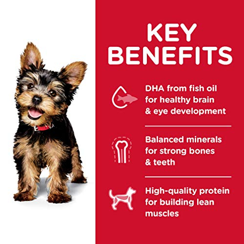 Foto 5 pulgar | Comida Para Perros Hill's Science Diet Small Paws Puppy, 2 Kg - Venta Internacional.