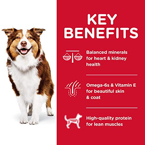 Foto 5 pulgar | Comida Para Perros Hill's Science Diet Para Adultos Mayores De 7 Años, 6,8 Kg - Venta Internacional.