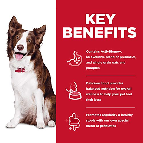 Foto 5 | Comida Para Perros Hill's Science Diet Perfect Digestion En Bolsa De 1,6 Kg - Venta Internacional.