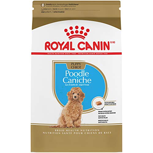 Alimento Para Perros Royal Canin Breed Health Nutrition Poodle Puppy 1.1 - Venta Internacional.