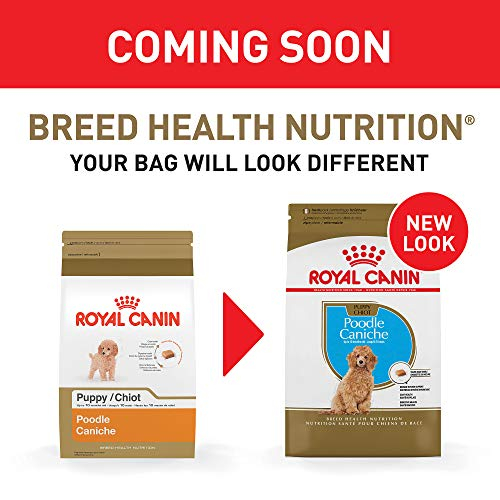 Foto 3 pulgar | Alimento Para Perros Royal Canin Breed Health Nutrition Poodle Puppy 1.1 - Venta Internacional.