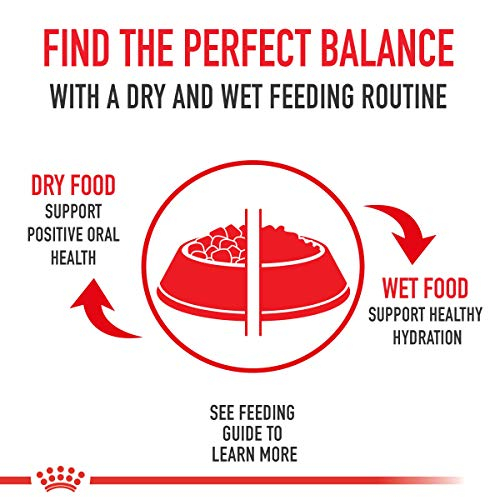 Foto 8 pulgar | Alimento Para Perros Royal Canin Breed Health Nutrition Poodle Puppy 1.1 - Venta Internacional.