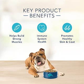 Foto 6 | Alimento Para Perros Blue Buffalo Basics Para El Cuidado De La Piel Y El Estómago, Salmón, 24 Libras - Venta Intern