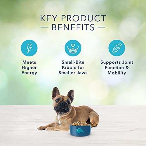 Foto 6 pulgar | Alimento Para Perros Blue Buffalo Freedom, Sin Cereales, Raza Pequeña, 1,8 Kg - Venta Internacional.