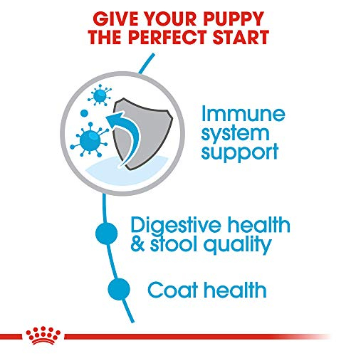 Comida Para Perros Royal Canin Size Health Para Cachorros Pequeños De Interior, 1,1 Kg - Venta Internacional.