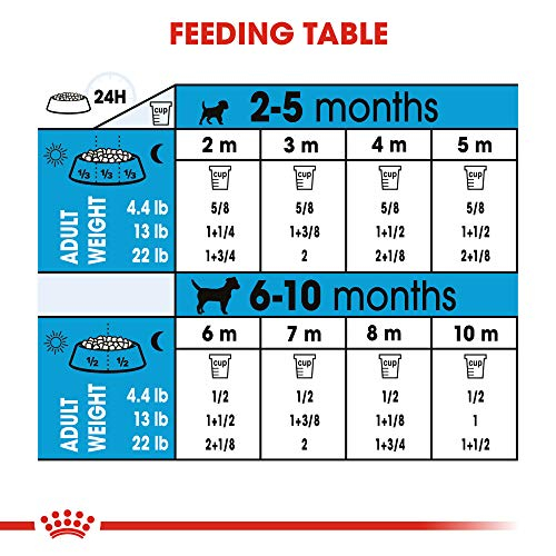 Foto 6 pulgar | Comida Para Perros Royal Canin Size Health Para Cachorros Pequeños De Interior, 1,1 Kg - Venta Internacional.