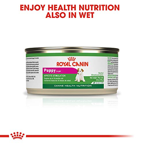 Foto 8 pulgar | Comida Para Perros Royal Canin Size Health Para Cachorros Pequeños De Interior, 1,1 Kg - Venta Internacional.