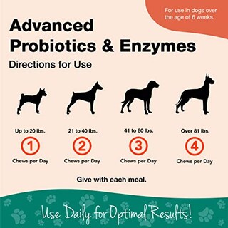 Foto 3 | Suplemento Naturvet Advanced Con Probióticos Y Enzimas Para Perros - Venta Internacional.