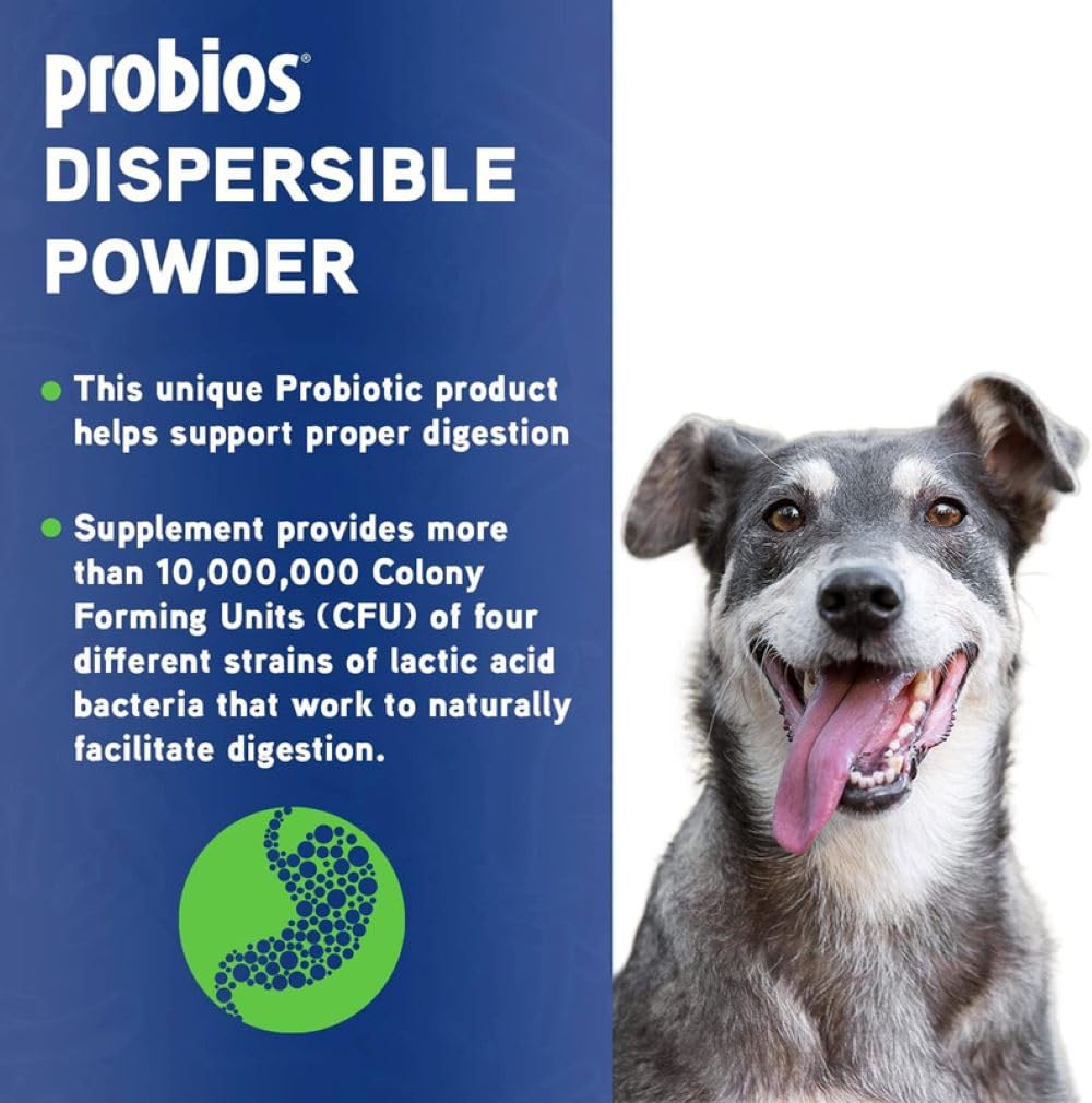 Foto 4 | Polvo Digestivo Probios Vet Plus 240g Para Animales - Venta Internacional.