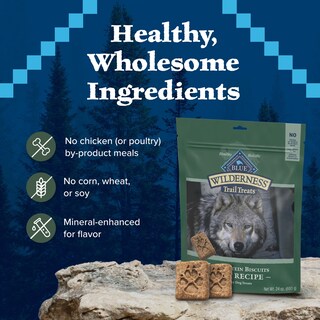 Foto 7 | Galletas Para Perros Blue Buffalo Wilderness Duck 1,06 Kg - Venta Internacional.