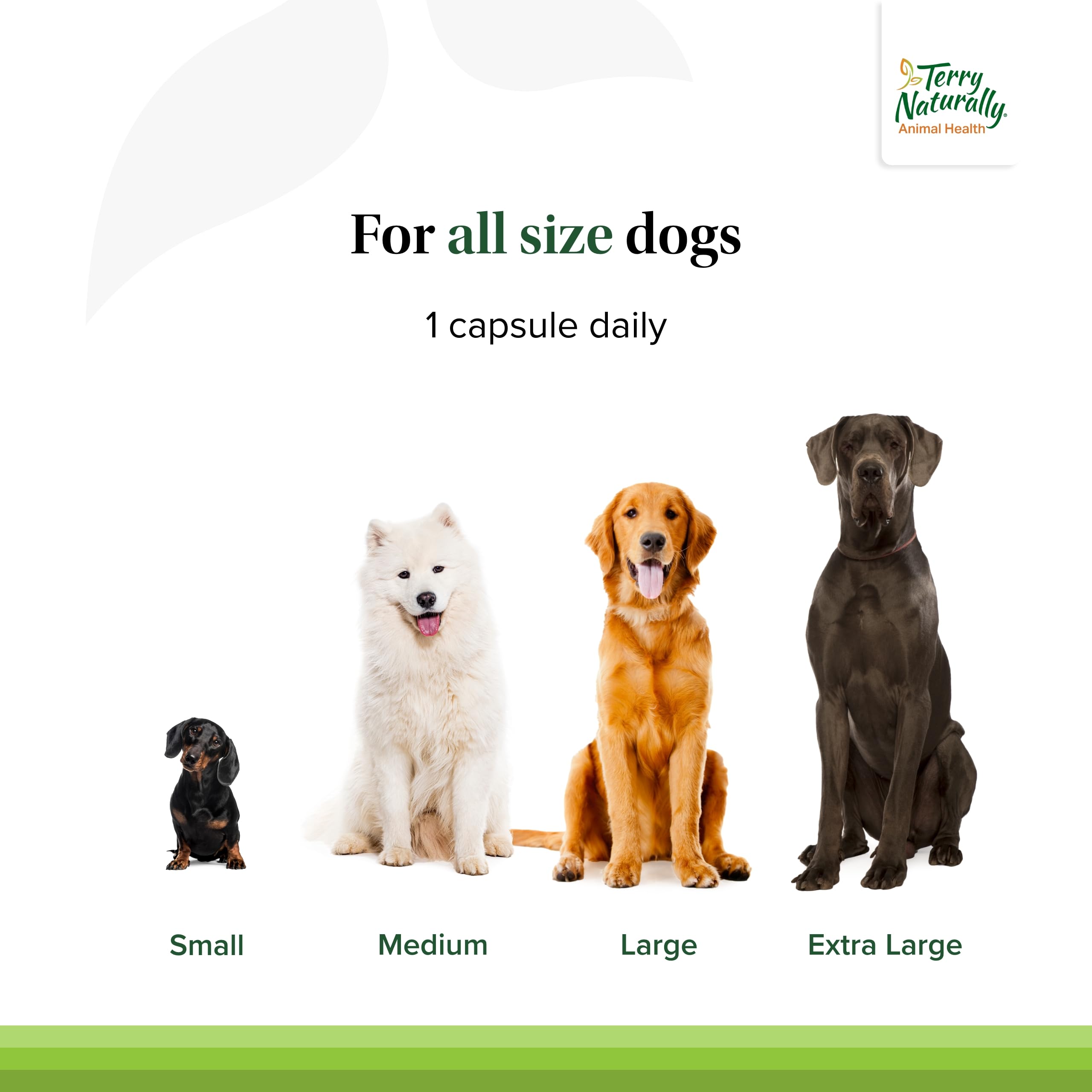 Foto 5 pulgar | Suplemento Para Mascotas Terry Naturally Bladder Control 30 Cápsulas - Venta Internacional.