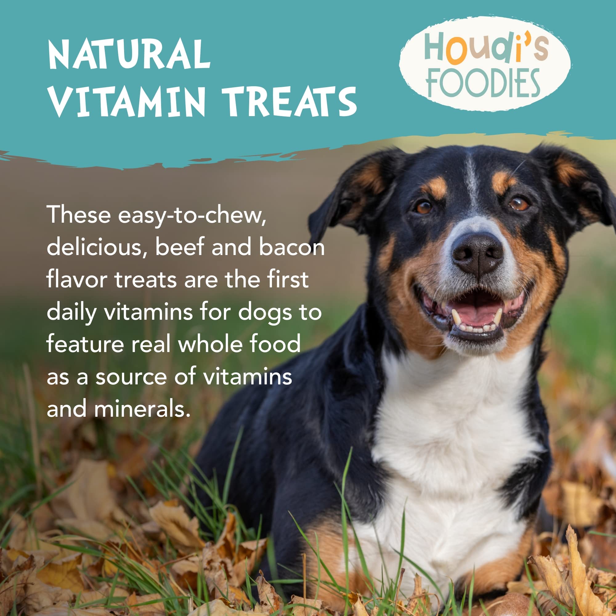 Foto 4 pulgar | Vitamin Treats North American Herb & Spice Houdi's Foodies Dogs - Venta Internacional.