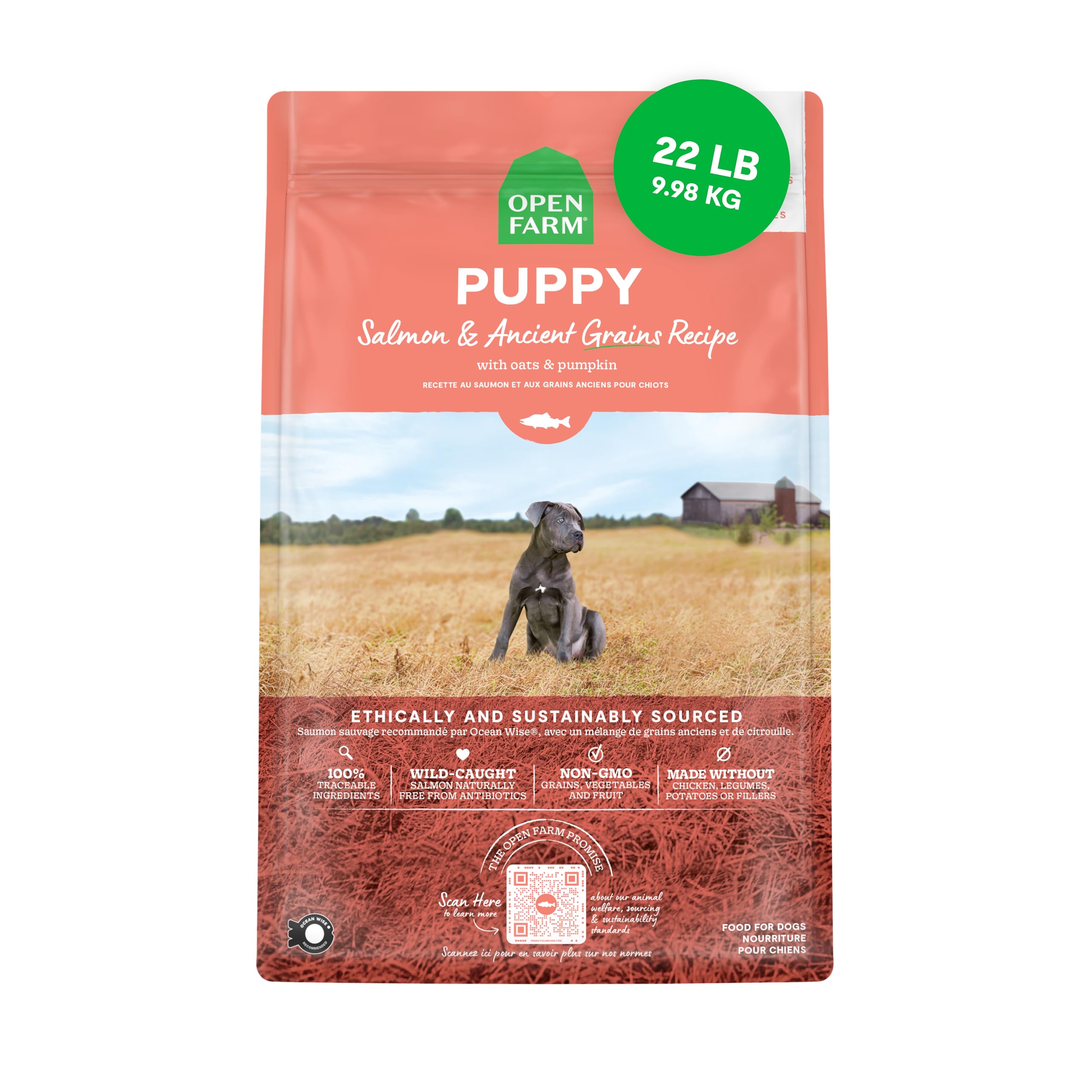 Alimento Seco Para Perros Open Farm Ancient Grains, Salmón, 10 Kg, Cachorro - Venta Internacional.