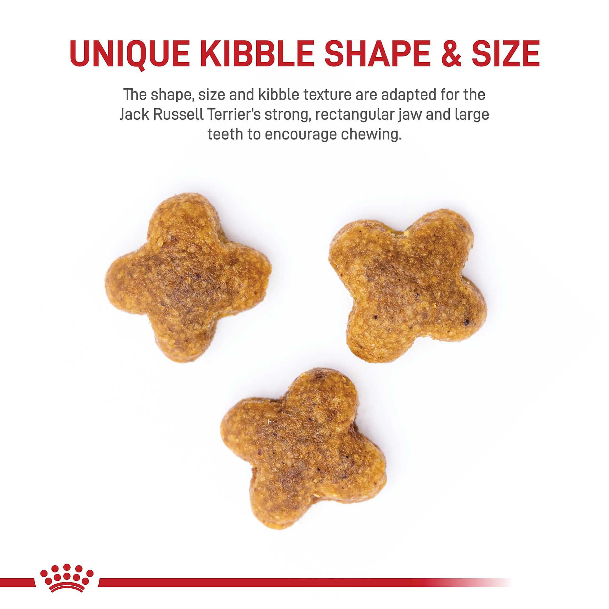Foto 3 pulgar | Alimento Para Perros Royal Canin Jack Russell Terrier Adulto 4,5 Kg - Venta Internacional.