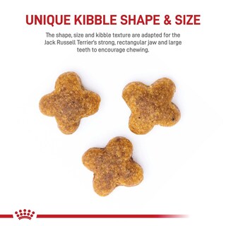 Foto 2 | Alimento Para Perros Royal Canin Jack Russell Terrier Adulto 4,5 Kg - Venta Internacional.