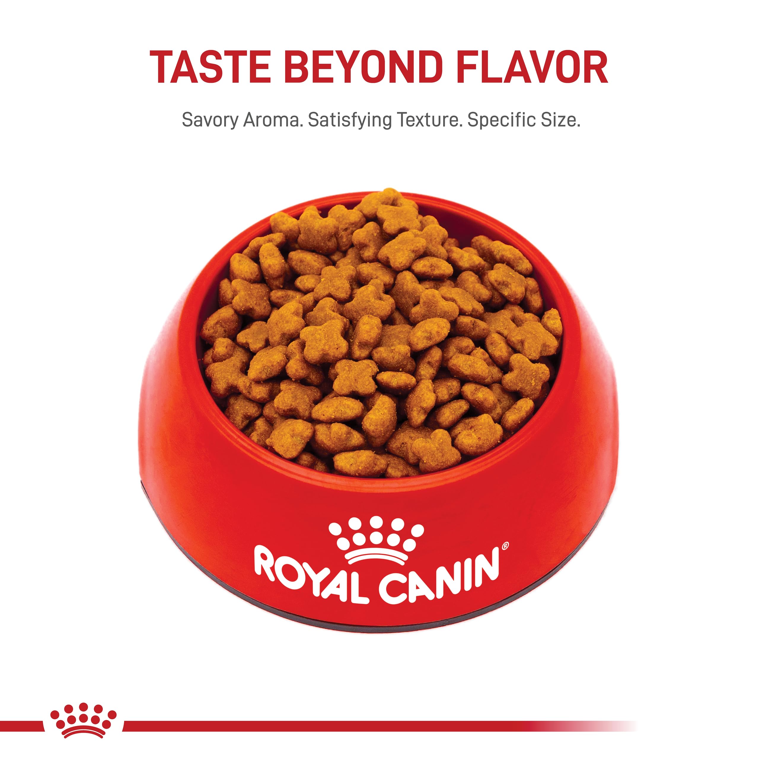 Foto 7 pulgar | Alimento Para Perros Royal Canin Jack Russell Terrier Adulto 4,5 Kg - Venta Internacional.