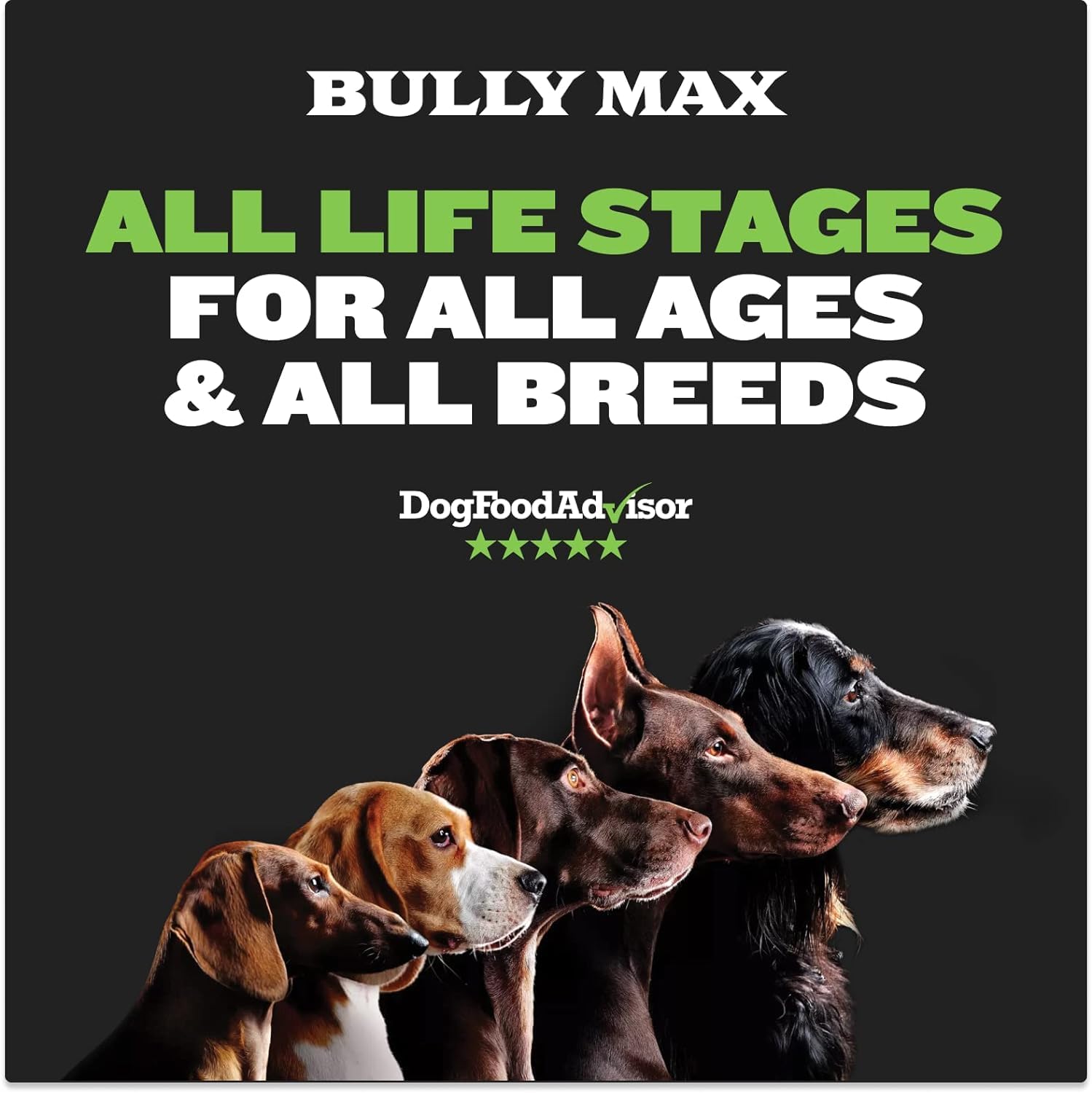 Foto 5 pulgar | Alimento Para Perros Bully Max 25/11 Alto En Proteínas Y Bajo En Grasas, 4,54 Kg X2 - Venta Internacional.