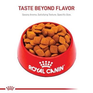 Foto 7 | Alimento Para Perros Royal Canin Golden Retriever Adulto 7,7 Kg - Venta Internacional.