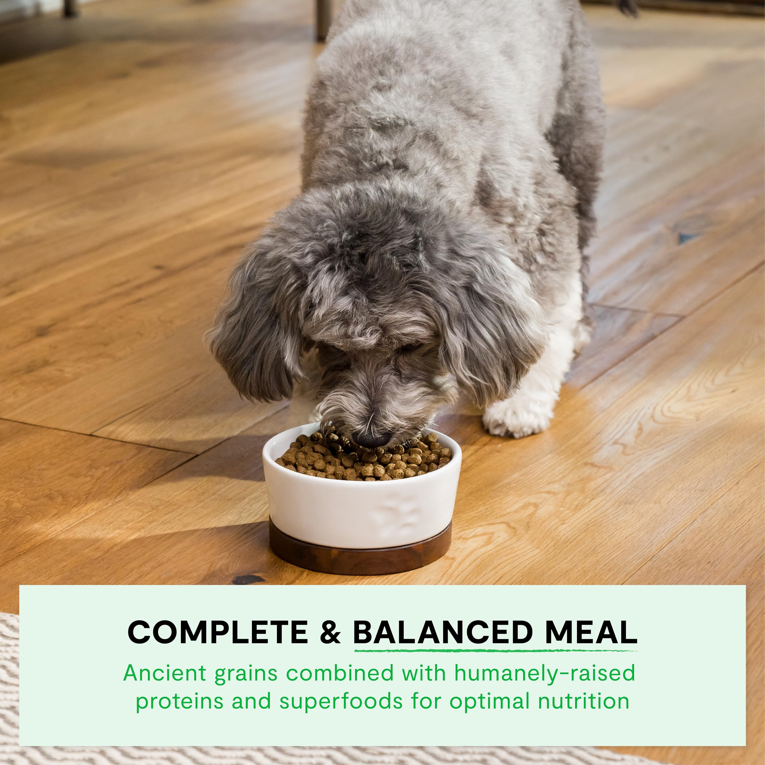 Foto 4 | Alimento Seco Para Perros Open Farm Ancient Grains, Raza Pequeña, 5 Kg - Venta Internacional.