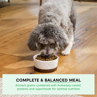 Foto 4 | Alimento Seco Para Perros Open Farm Ancient Grains, Raza Pequeña, 5 Kg - Venta Internacional.