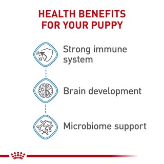 Foto 3 | Alimento Para Perros Royal Canin Size Health Nutrition Para Cachorros Grandes De 7,7 Kg - Venta Internacional.