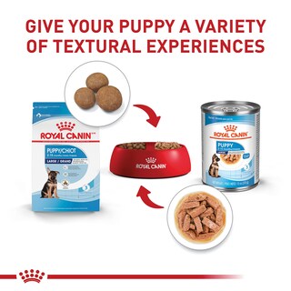 Foto 4 | Alimento Para Perros Royal Canin Size Health Nutrition Para Cachorros Grandes De 7,7 Kg - Venta Internacional.
